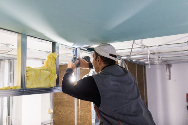 Best Crawl Space Insulation  in Napoleon, OH
