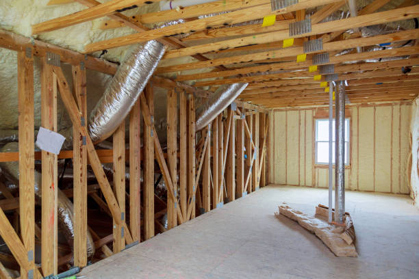 Best Insulation Removal  in Napoleon, OH
