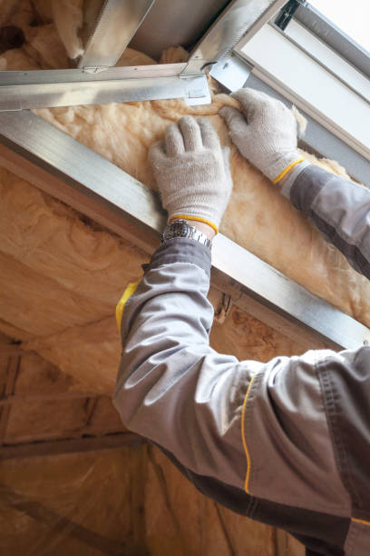 Best Home Insulation Services  in Napoleon, OH