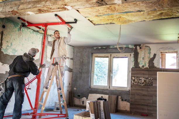 Best Professional Insulation Contractor  in Napoleon, OH