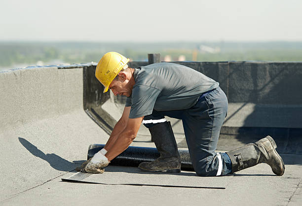 Best Attic Insulation Installation  in Napoleon, OH