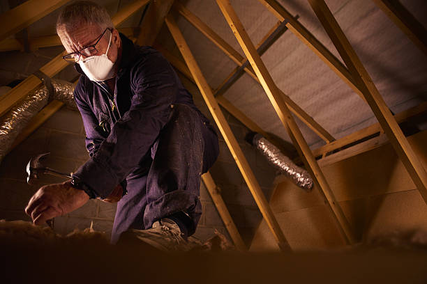 Best Insulation Removal  in Napoleon, OH