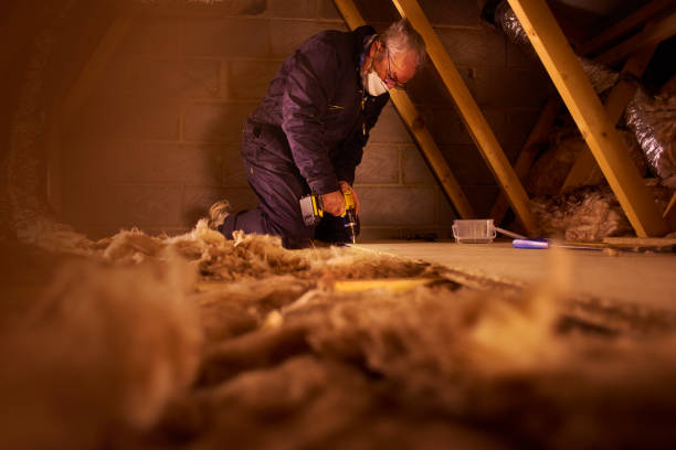 Best Local Insulation Services  in Napoleon, OH
